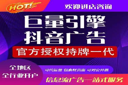 行业领先企业的SEM广告策略与效果分析